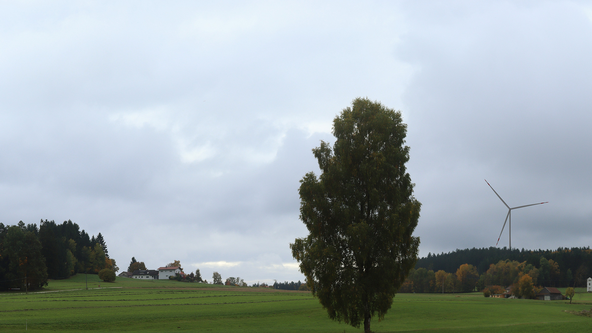 Bildpunkt 15 nachher