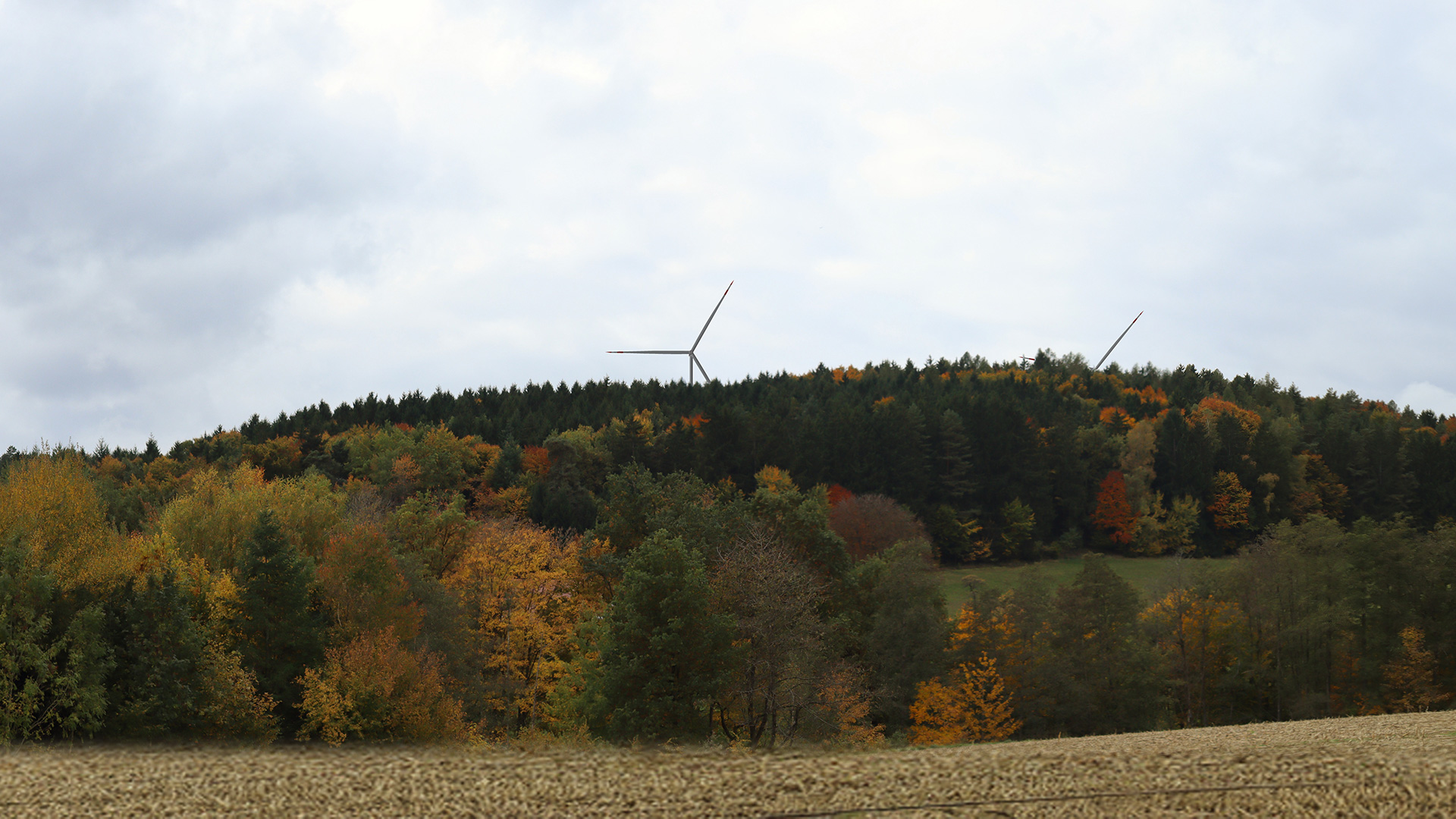 Bildpunkt 19 nachher