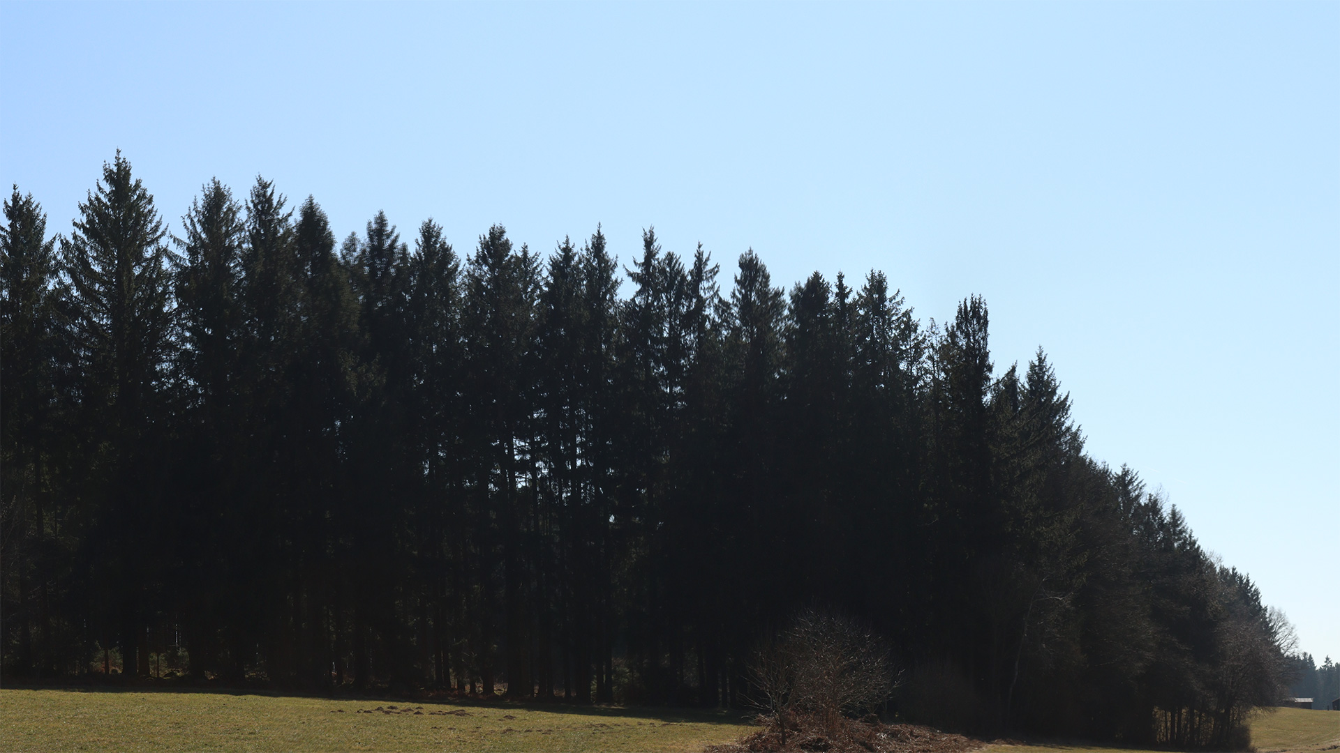 Bildpunkt 12 nachher